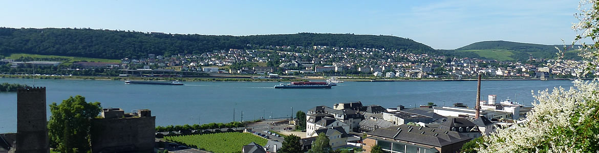 Rüdesheim am Rhein